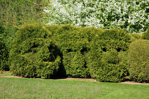 jardin de Séricourt01222012IMG_0019