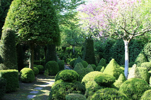 jardin de Séricourt01222012IMG_0025