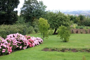 Vue dunkerque230711IMG_0520