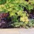 mini jardin zen