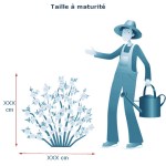 essai-taille-couleur-gris-cyan