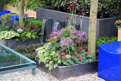 magistrate270511IMG_8083