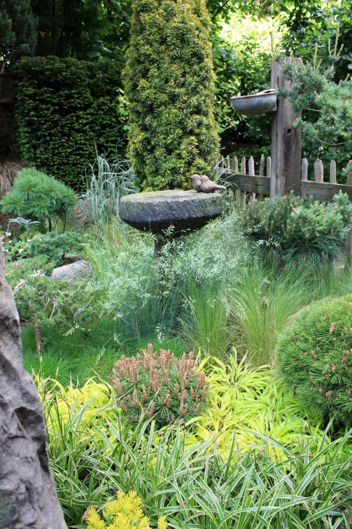 jardin de graminées et de conifères