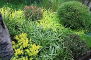 Conif res Miniatures Un Mini Jardin Tout Vert Place Des Jardins Le Blog