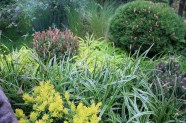 Conif res Miniatures Un Mini Jardin Tout Vert Place Des Jardins Le Blog