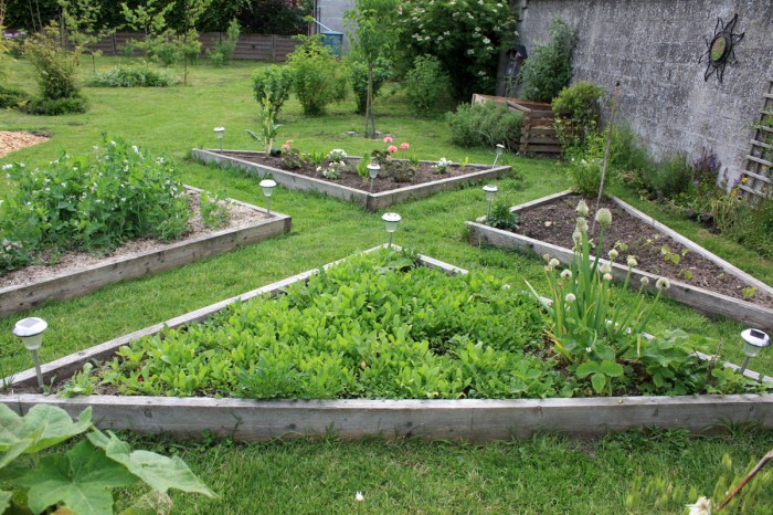 triangles gourmands au potager