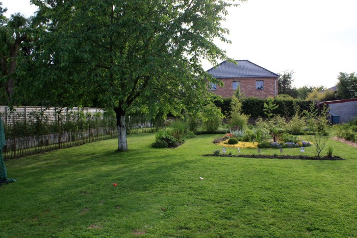 jardin avec cerisier