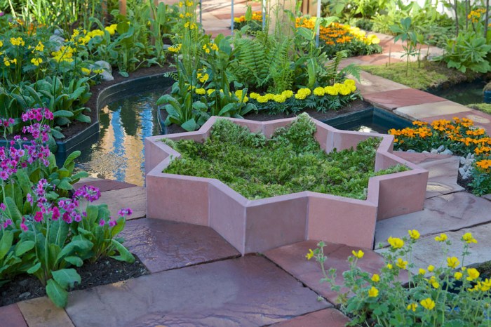 Plantes originaires d'Asie