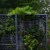 jardin vertical