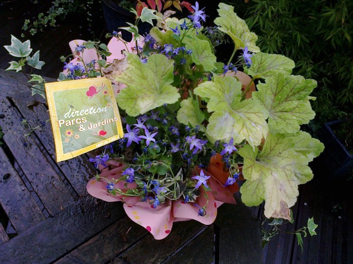 Voici la récompense pour le prix d'honneur des Balcons Fleuris!