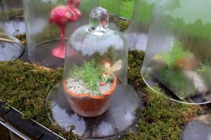 Jardin sous cloche, une bonne manière d'échapper à la pluie!