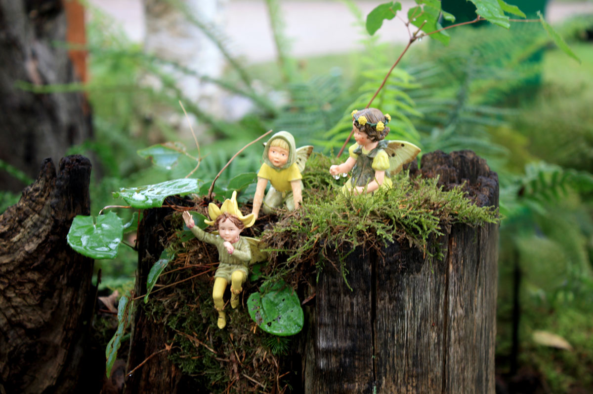 fairy garden