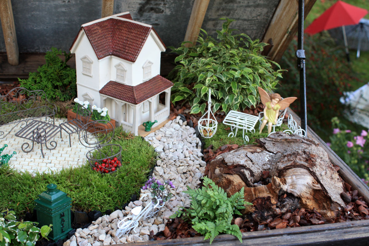 micro jardin