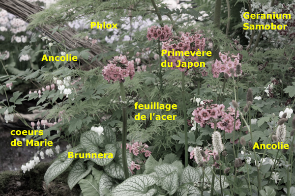 massif dans un jardin zen