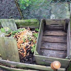 compost051010IMG_0179 (1)