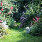 massif110811IMG_1271