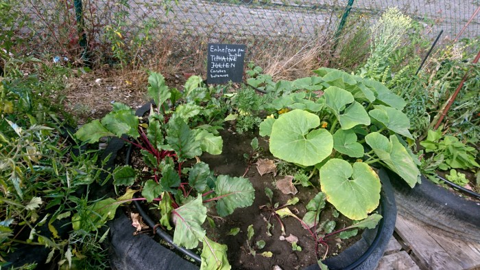 Ferme urbaine Lille DSC_1853
