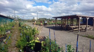 Ferme urbaine Lille DSC_1903